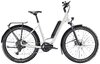 Diamant Zing Trip Core LS S Baumwollweiss Metallic 400Wh