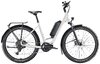 Diamant Zing Trip Core LS L Baumwollweiss Metallic 800Wh